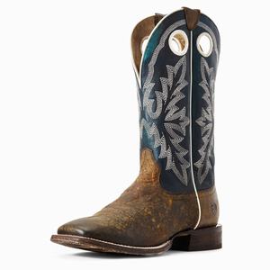 Men's Ariat Circuit Champ Western Boots Multicolor | WSIP-09352