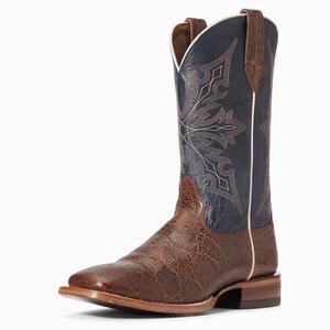 Men's Ariat Circuit Gritty Western Boots Multicolor | FNWX-89403