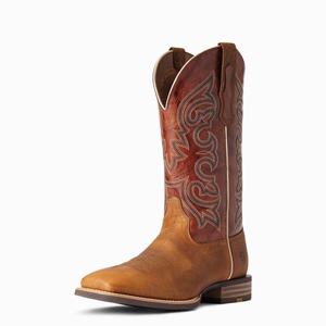 Men's Ariat Everlite Go Getter Western Boots Multicolor | WVDQ-01256