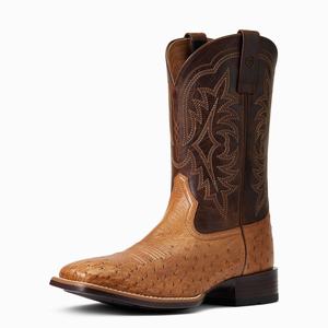 Men's Ariat Night Life Ultra Western Boots Multicolor | WSYG-09875