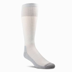 Men's Ariat VentTEK Over the Calf 2 Pair Pack Socks White | XKPZ-29306