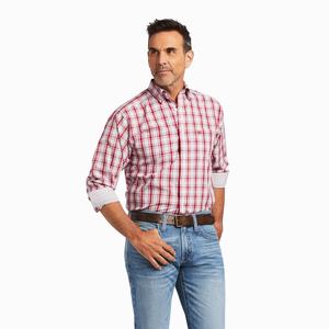 Men's Ariat Wrinkle Free Chanse Fitted Shirts Multicolor | ORXG-08349