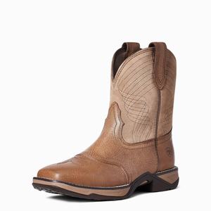 Women's Ariat Anthem Western Boots Multicolor | RTPV-23541