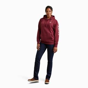 Women's Ariat Logo Hoodie Multicolor | XYZK-18532