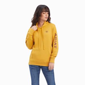 Women's Ariat REAL Classic Arm Logo Hoodie Gold | JLDY-25761