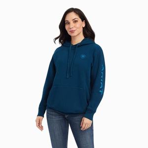 Women's Ariat REAL Classic Arm Logo Hoodie Multicolor | WKRI-89315