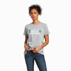 Women's Ariat Rebar Cotton Strong Farm Graphic Tops Grey | OEDA-76024