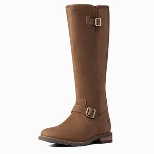 Women's Ariat Sadie Waterproof Dress Boots Multicolor | DKAS-19480