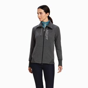 Women's Ariat Team Logo Full Zip Hoodie Grey | YVER-89410