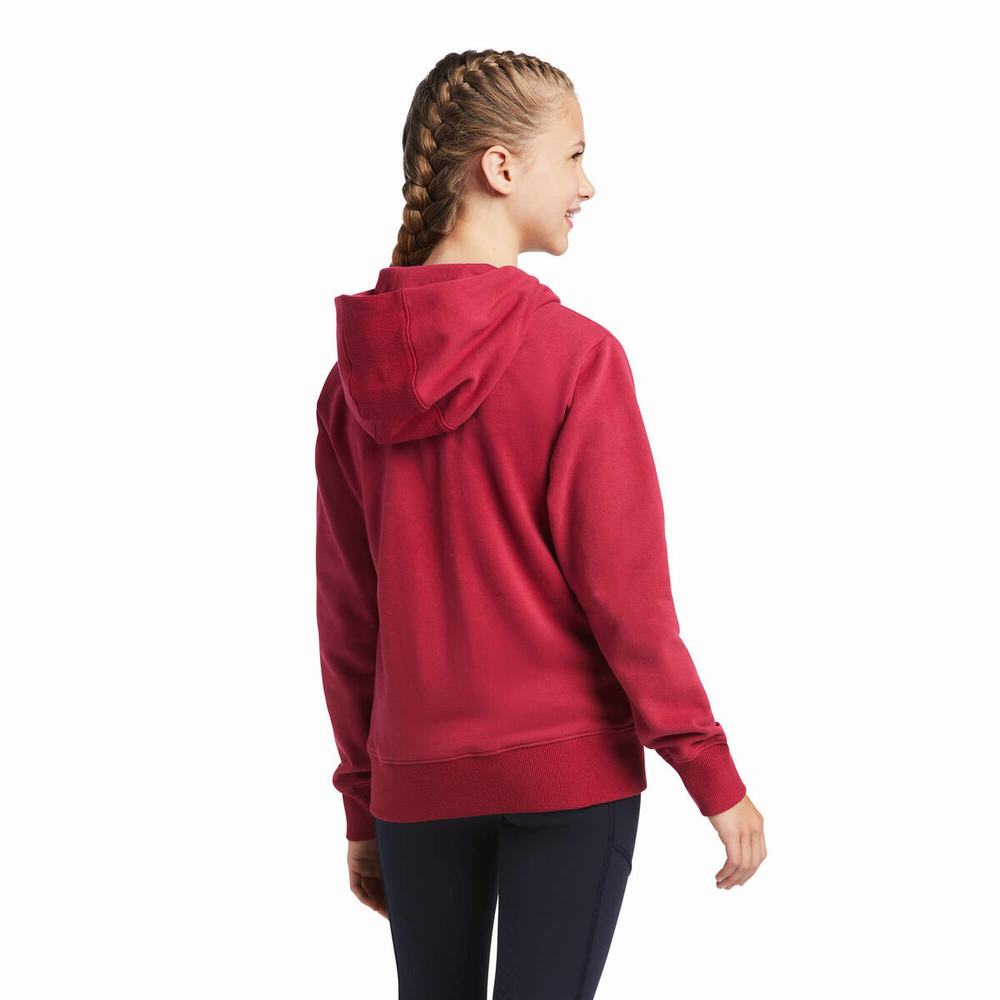 Kids' Ariat 3D Logo 2.0 Hoodie Red | EDSM-62095