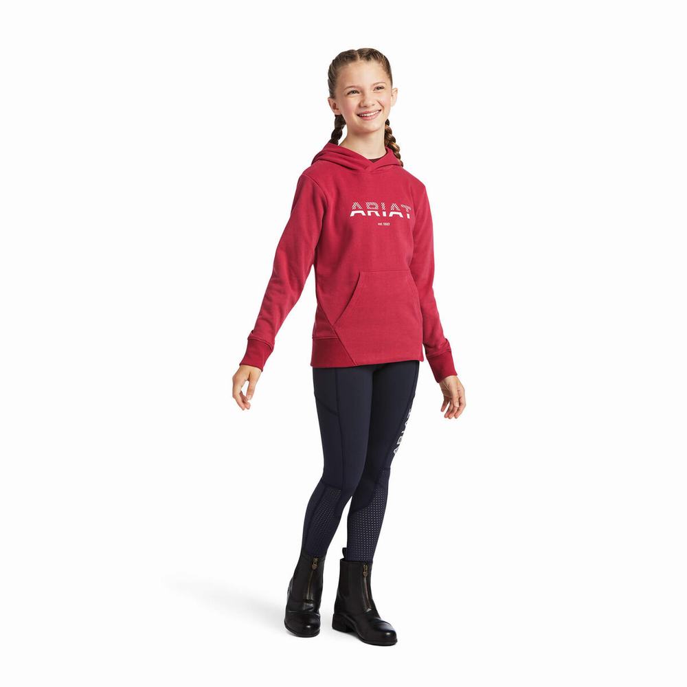 Kids' Ariat 3D Logo 2.0 Hoodie Red | EDSM-62095