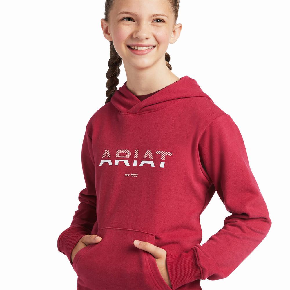 Kids' Ariat 3D Logo 2.0 Hoodie Red | EDSM-62095