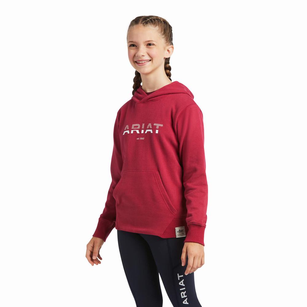 Kids\' Ariat 3D Logo 2.0 Hoodie Red | EDSM-62095