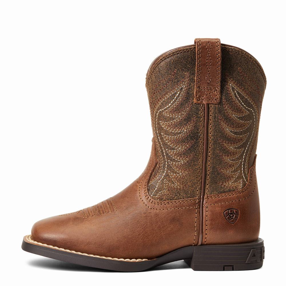 Kids' Ariat Amos Western Boots Multicolor | ABZQ-12539