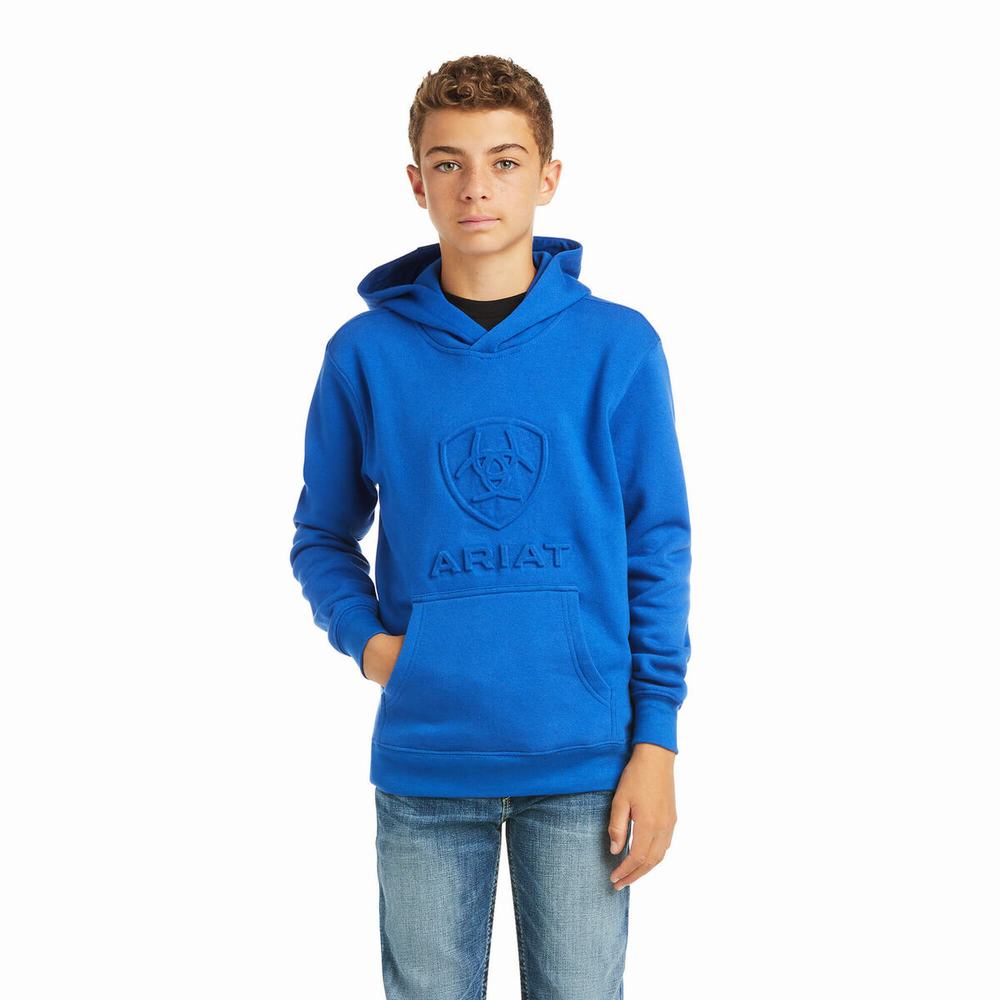 Kids\' Ariat Basic Hoodie Deep Blue | WAME-39178