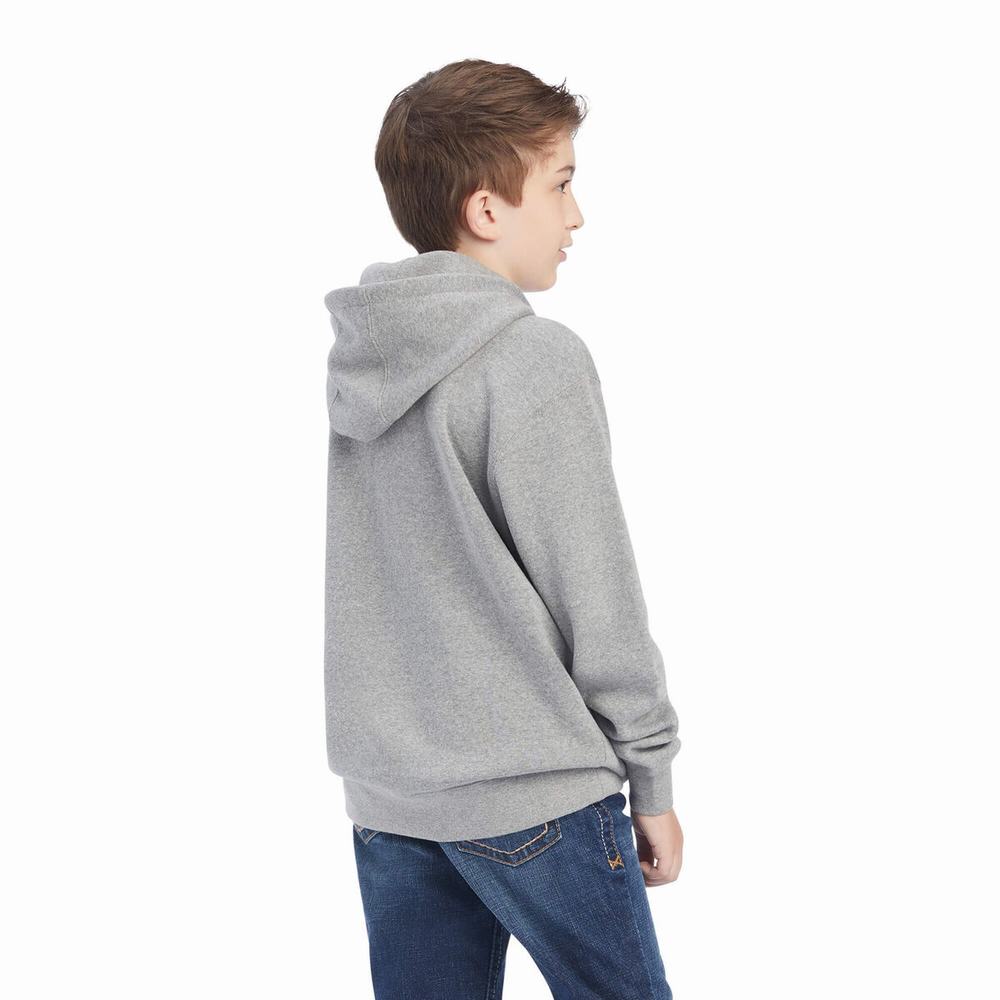 Kids' Ariat Basic Hoodie Orange | XMTW-09145