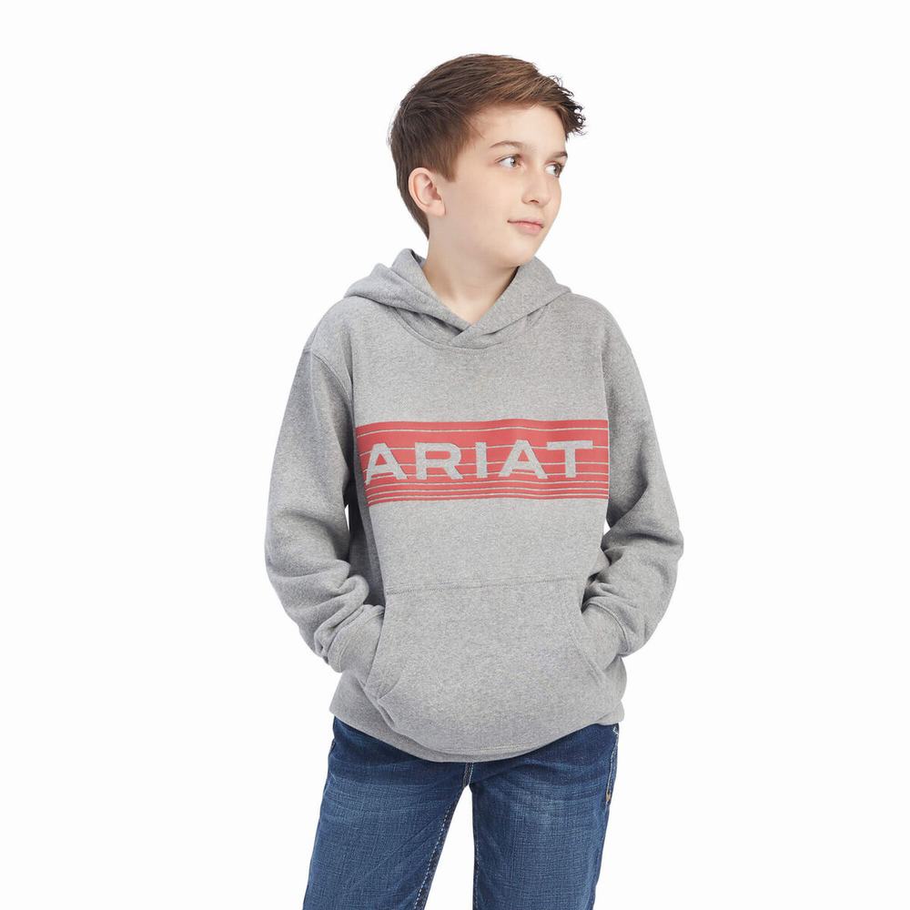 Kids\' Ariat Basic Hoodie Orange | XMTW-09145