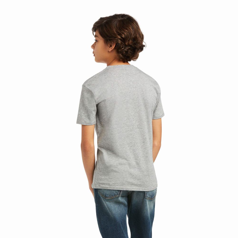 Kids' Ariat Blends Polo Shirts Grey | OXWV-38524