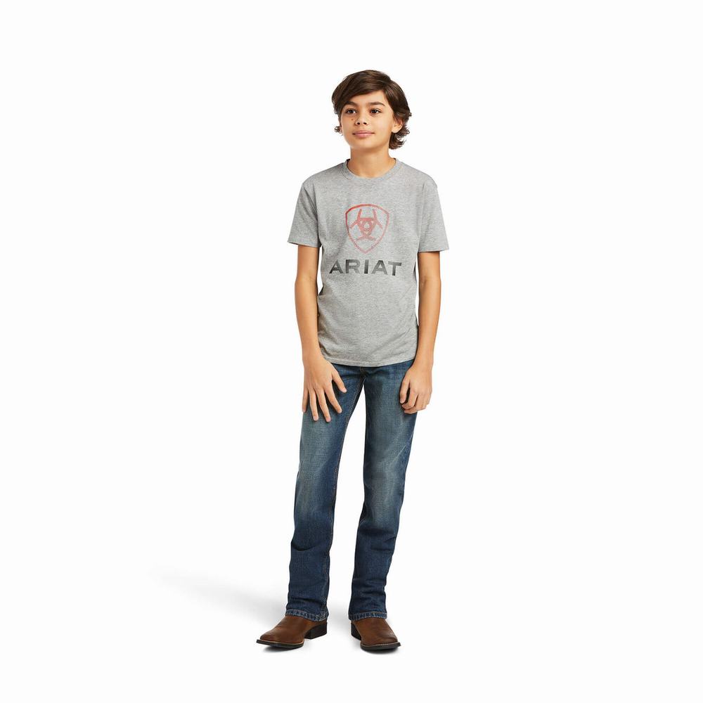 Kids' Ariat Blends Polo Shirts Grey | OXWV-38524