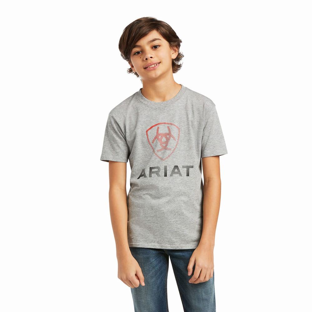 Kids\' Ariat Blends Polo Shirts Grey | OXWV-38524