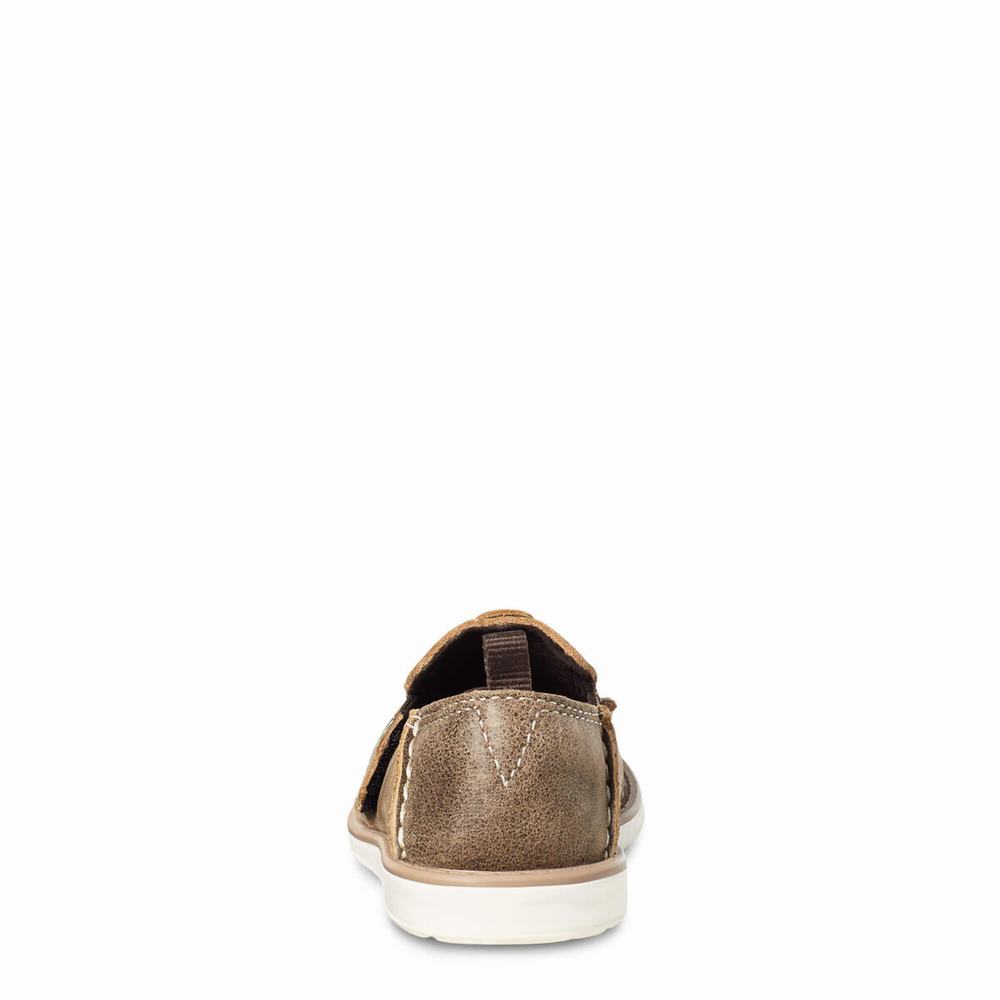 Kids' Ariat Cruiser Casual Shoes Brown | XSYH-94572