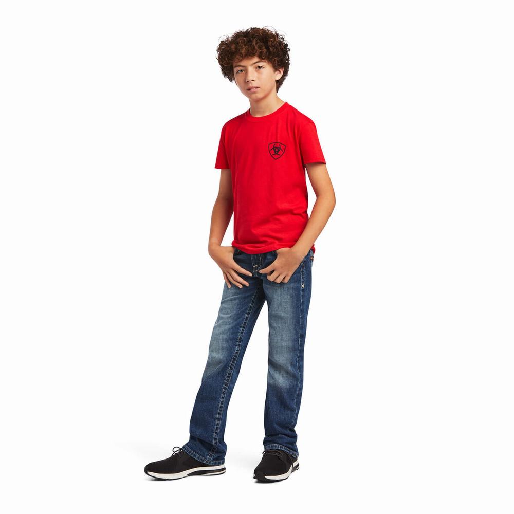 Kids' Ariat Diamond Wood Polo Shirts Red | NQVJ-56943