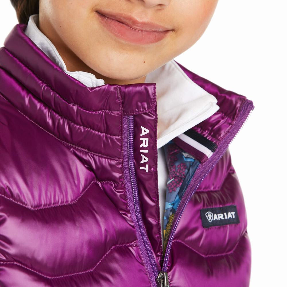 Kids' Ariat Ideal 3.0 Jackets Royal Purple | SMUE-60578