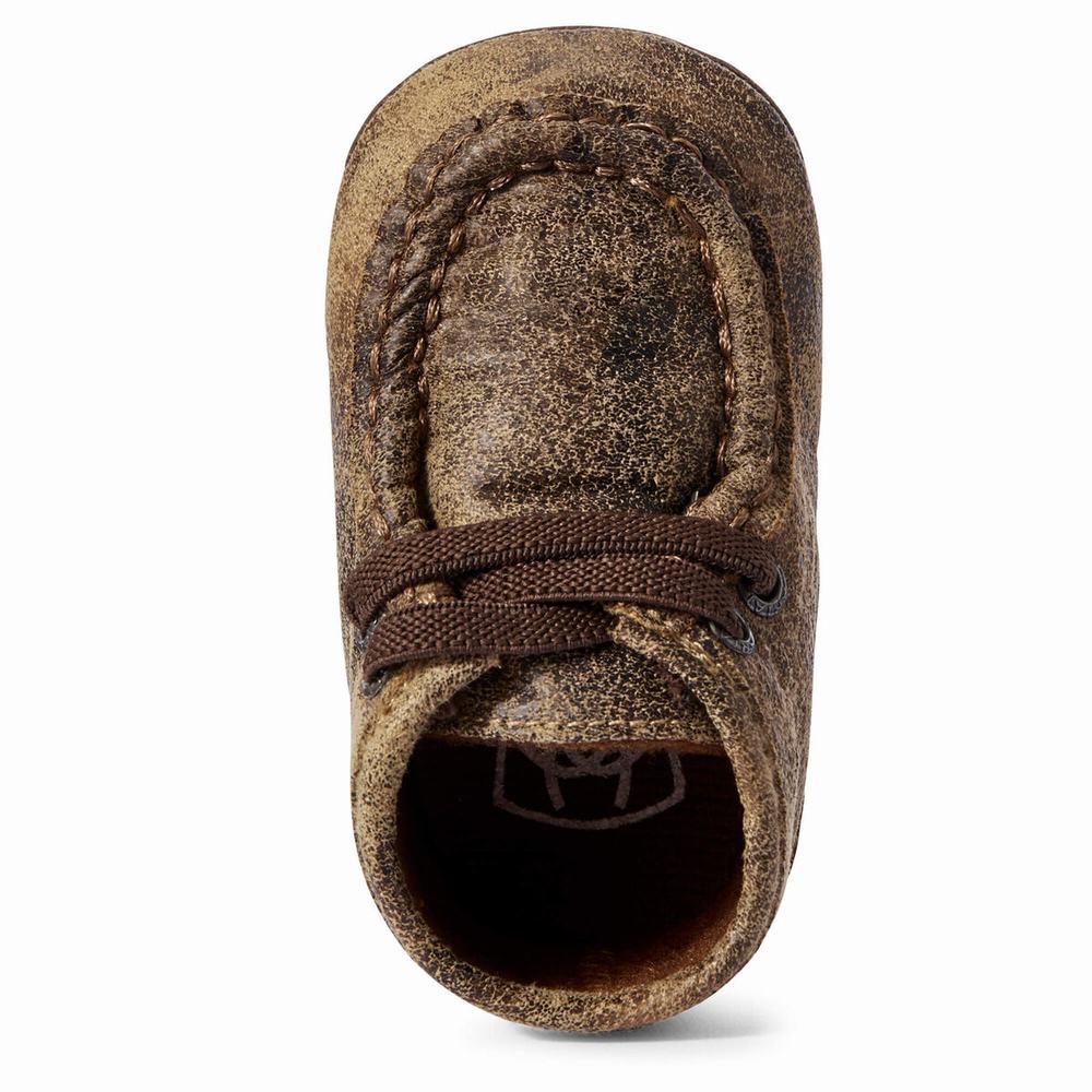 Kids' Ariat Infant Lil' Stompers Memphis Spitfire Casual Shoes Brown | GCHP-93510