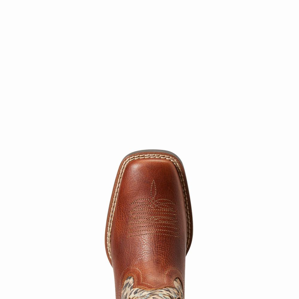 Kids' Ariat Koel VentTEK Western Boots Multicolor | ASJQ-80461