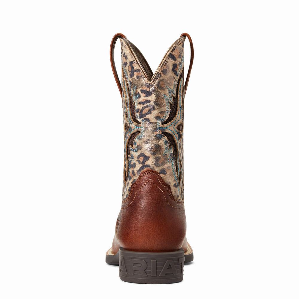 Kids' Ariat Koel VentTEK Western Boots Multicolor | ASJQ-80461