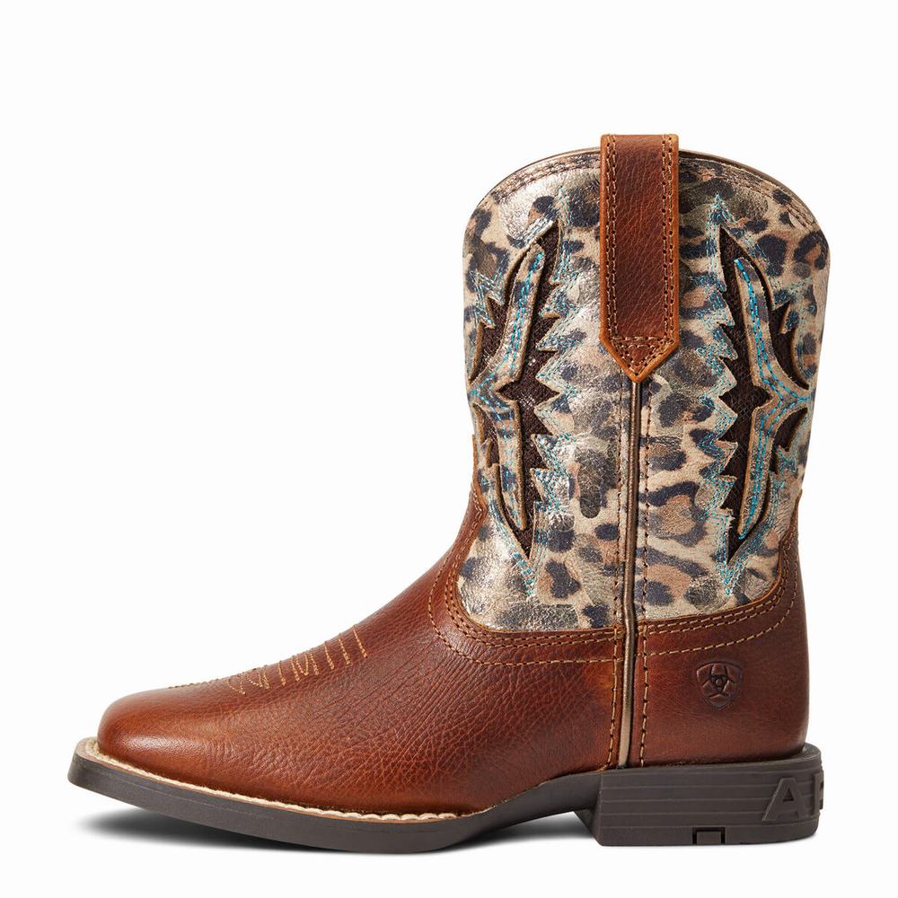 Kids' Ariat Koel VentTEK Western Boots Multicolor | PGDX-18952