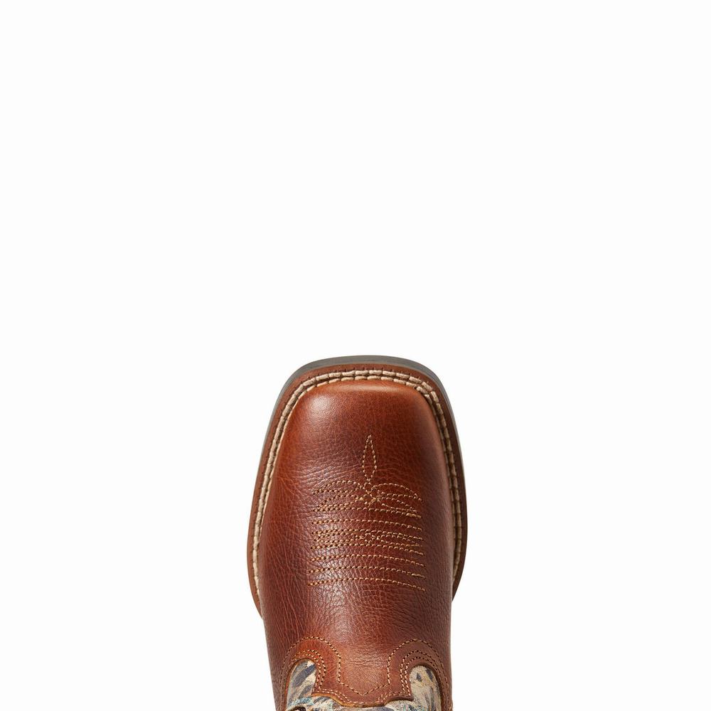 Kids' Ariat Koel VentTEK Western Boots Multicolor | PGDX-18952