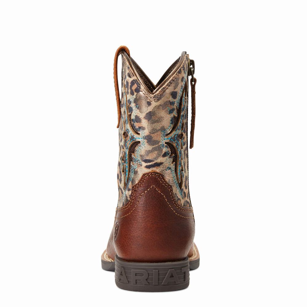 Kids' Ariat Koel VentTEK Western Boots Multicolor | PGDX-18952