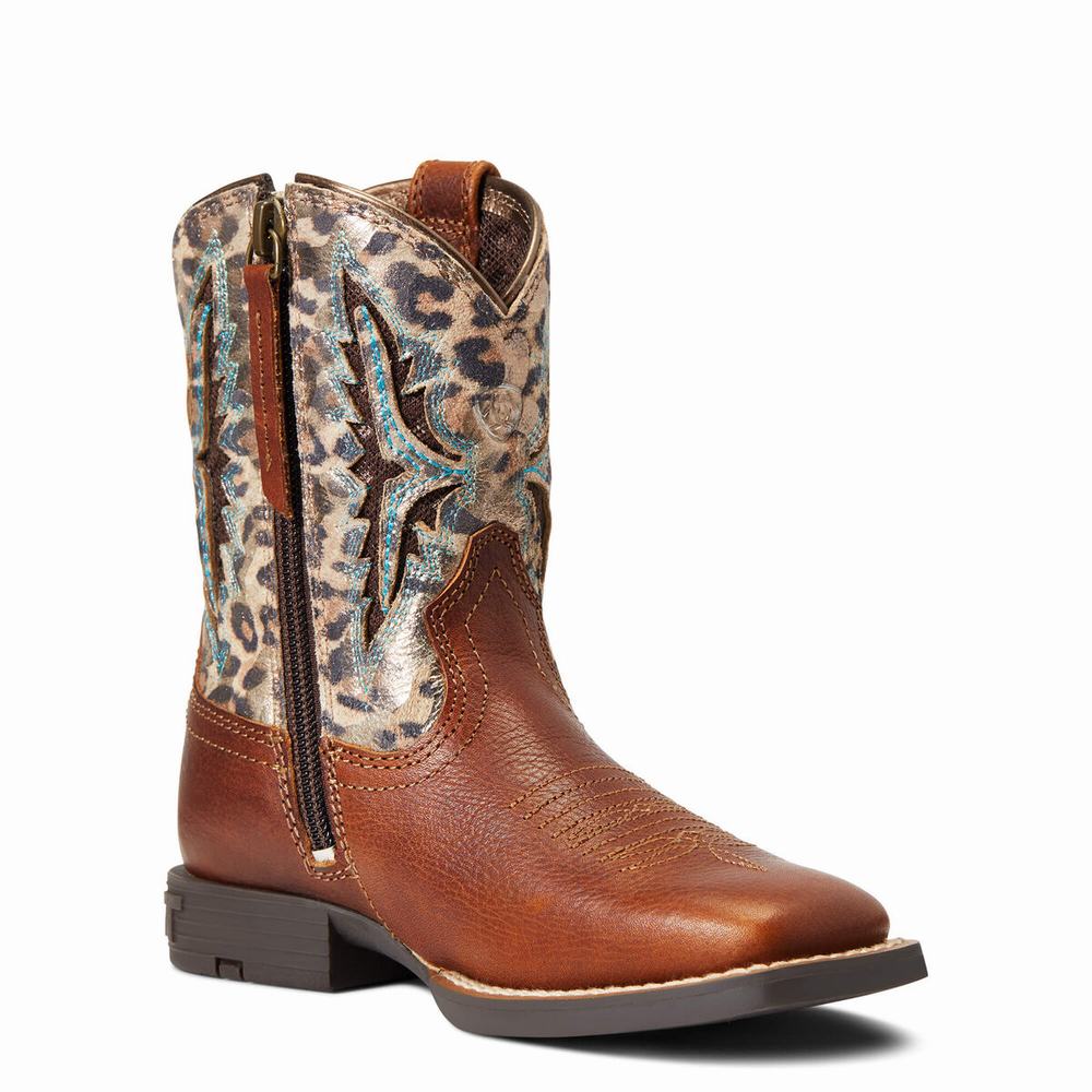 Kids' Ariat Koel VentTEK Western Boots Multicolor | PGDX-18952