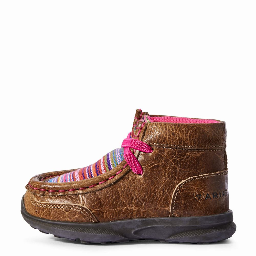 Kids' Ariat Lil' Stompers Aurora Spitfire Casual Shoes Brown | QKFB-81976