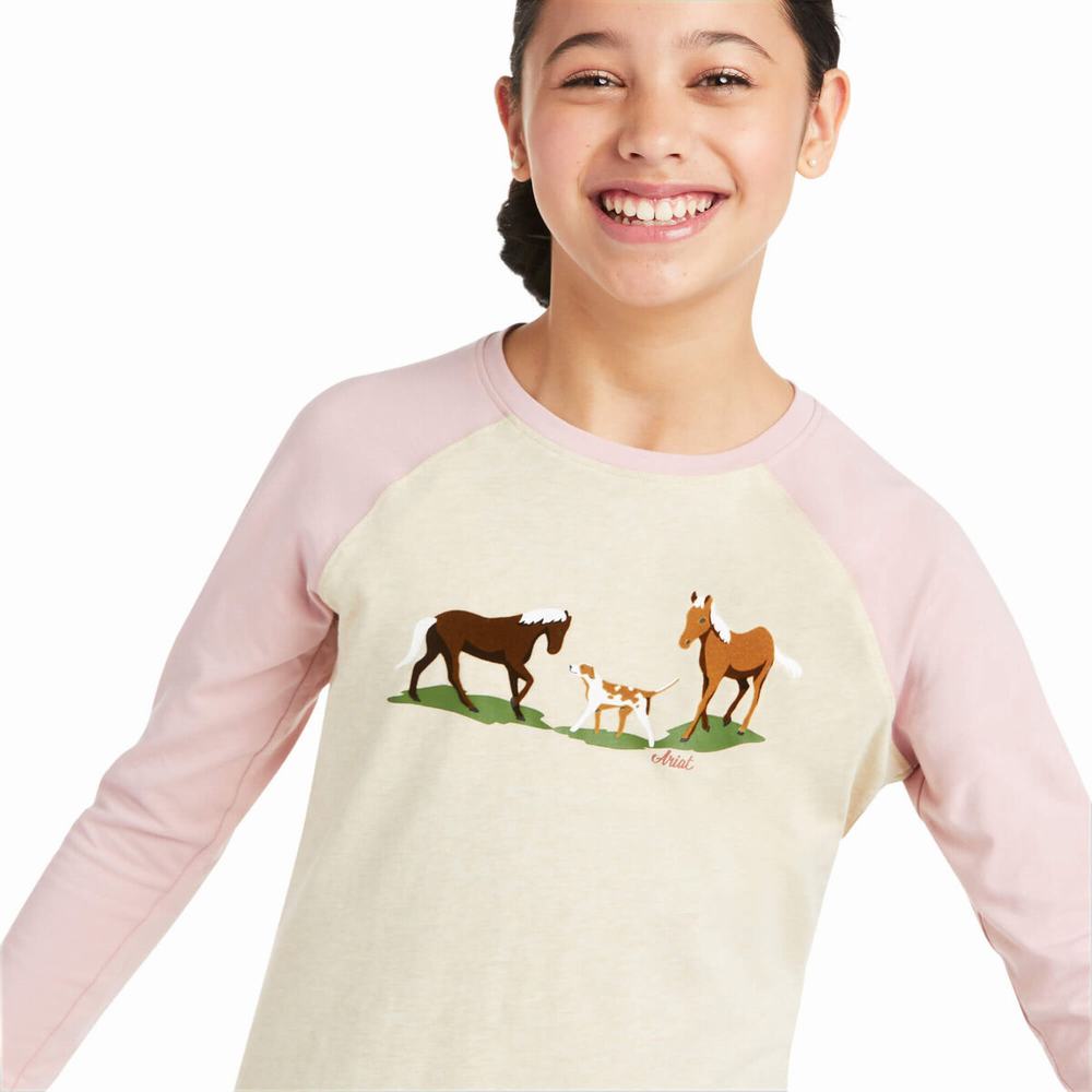 Kids' Ariat Pasture Scene Riding Pants Beige / Grey Rose | FIRP-23978