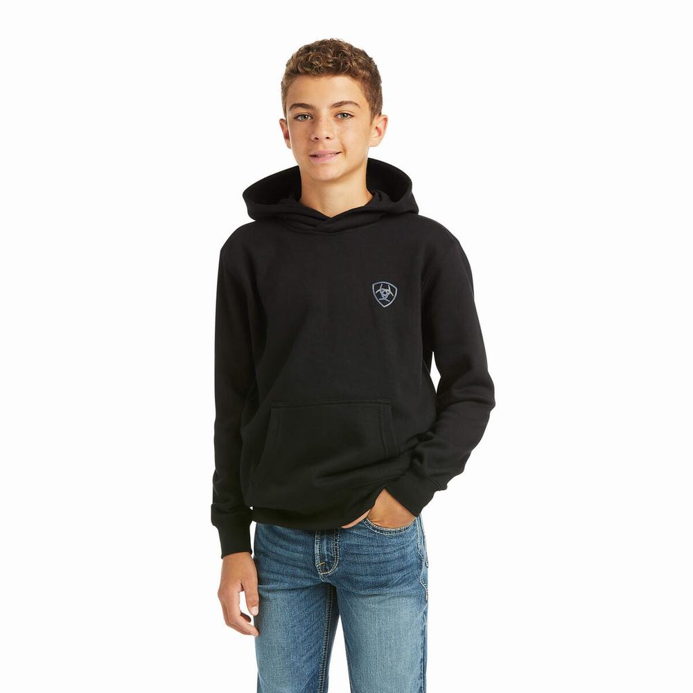 Kids\' Ariat Patriot 2.0 Hoodie Black / Grey | LZGV-62407