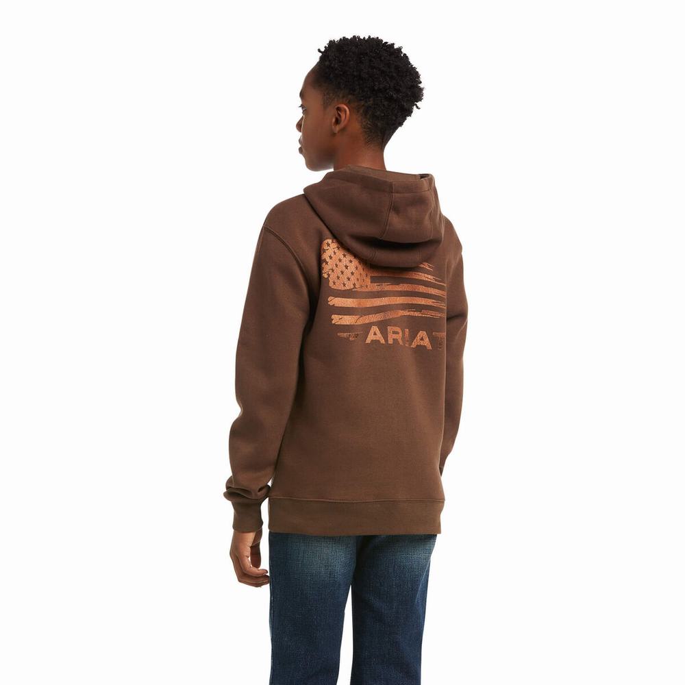 Kids' Ariat Patriot 2.0 Hoodie Brown / Brown | CLAV-64128