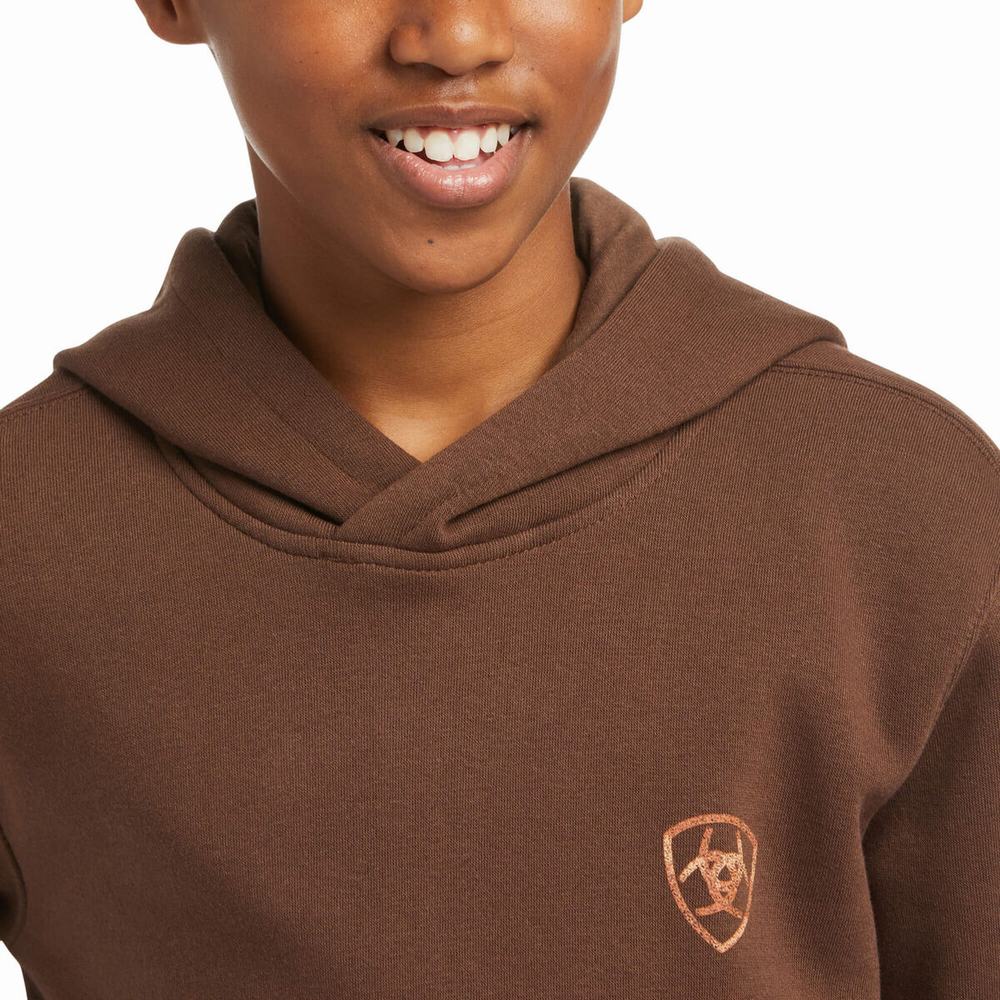 Kids' Ariat Patriot 2.0 Hoodie Brown / Brown | CLAV-64128