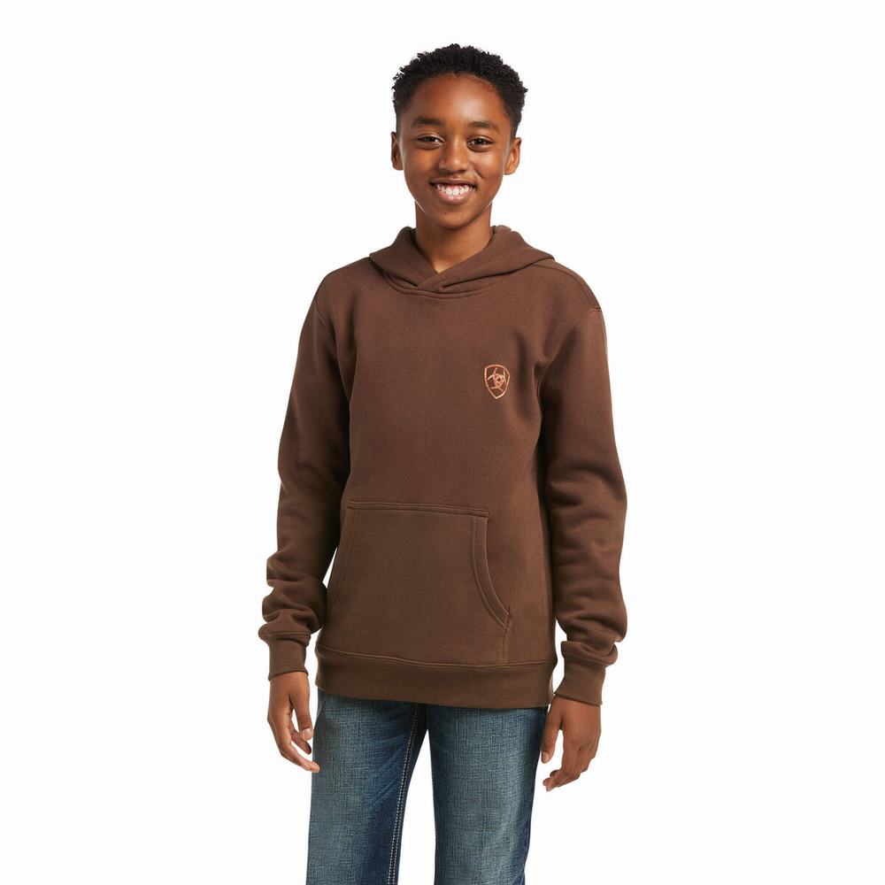 Kids\' Ariat Patriot 2.0 Hoodie Brown / Brown | CLAV-64128