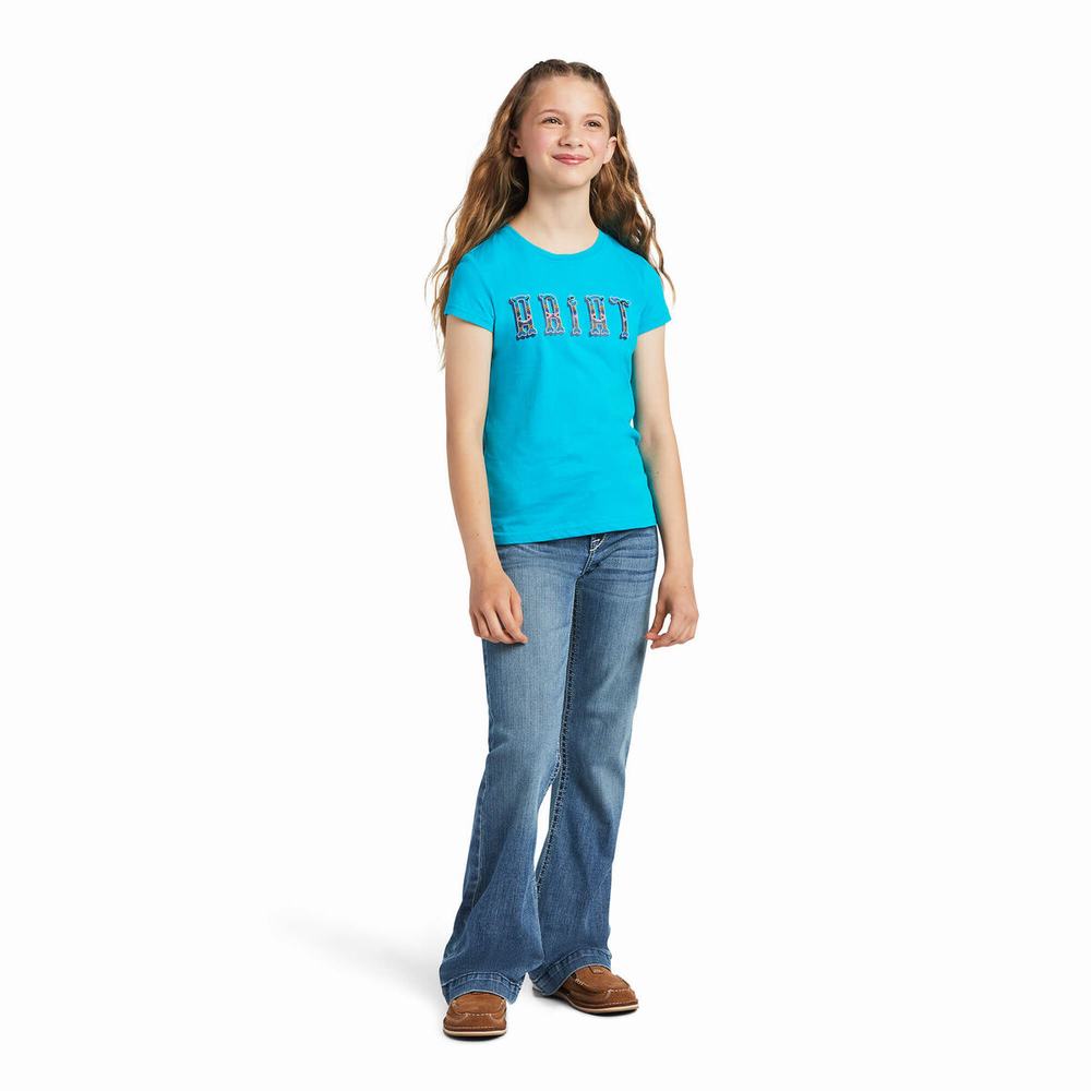 Kids' Ariat REAL Kinship Graphic Polo Shirts Multicolor | PEFM-23956