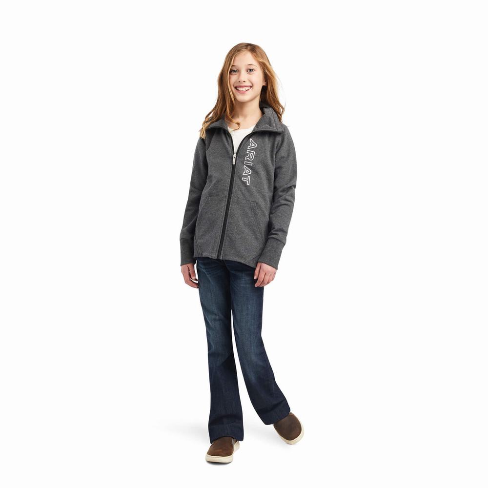 Kids' Ariat Team Logo Full Zip Hoodie Grey | NJIX-94781