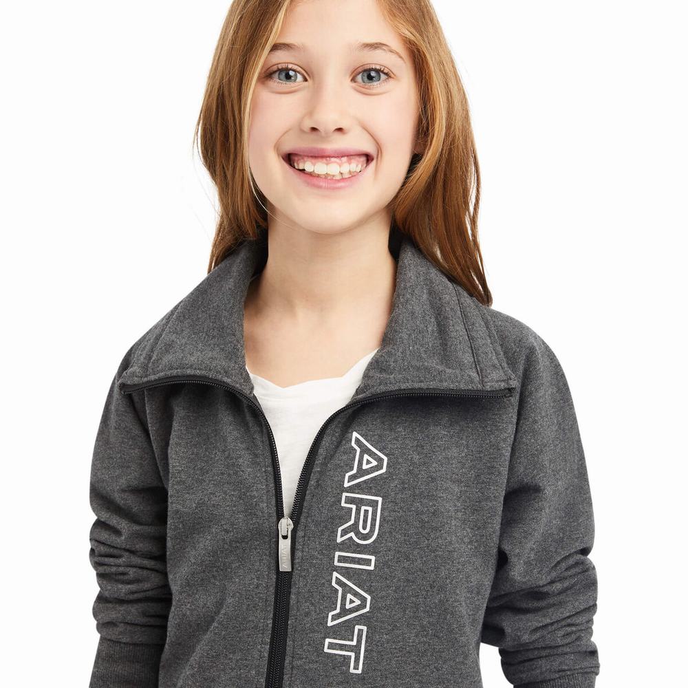 Kids' Ariat Team Logo Full Zip Hoodie Grey | NJIX-94781