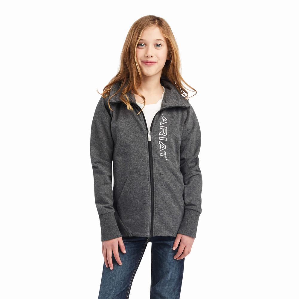 Kids\' Ariat Team Logo Full Zip Hoodie Grey | NJIX-94781