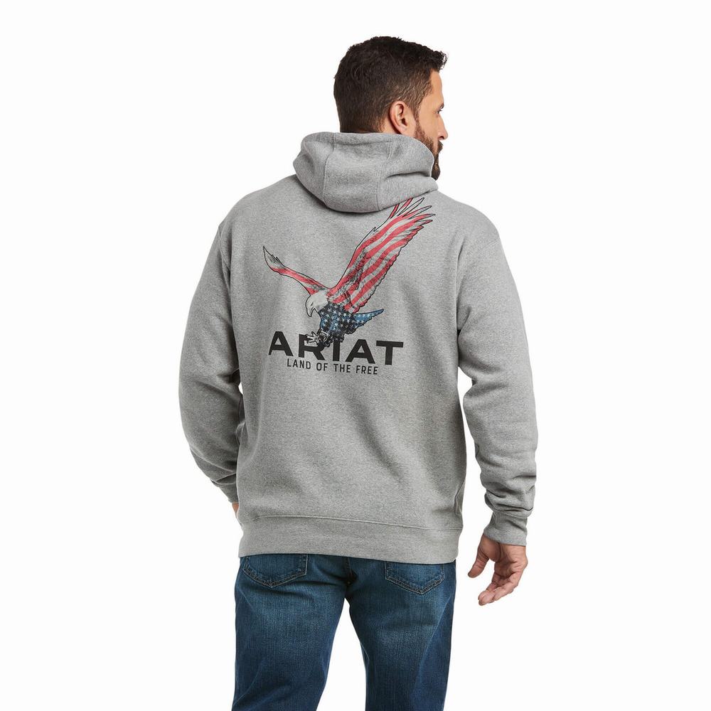 Men's Ariat Basic Hoodie Grey | EHLQ-70528