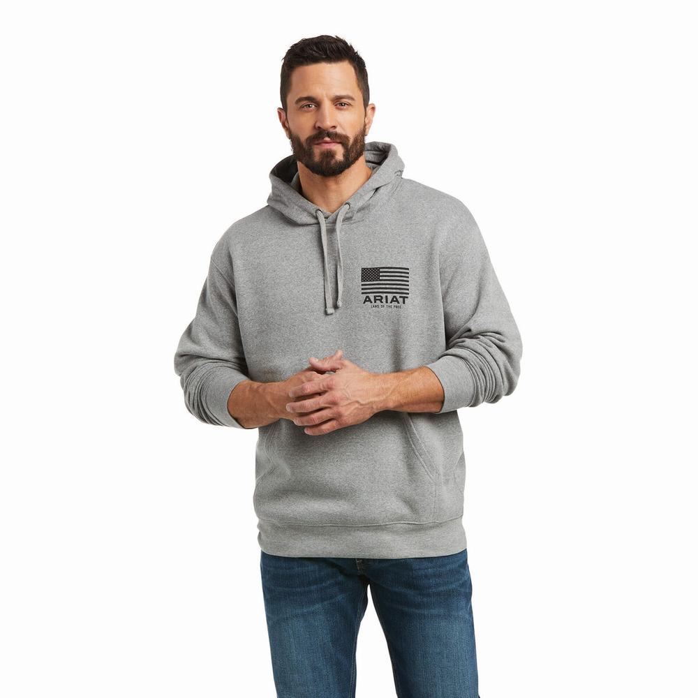 Men\'s Ariat Basic Hoodie Grey | EHLQ-70528