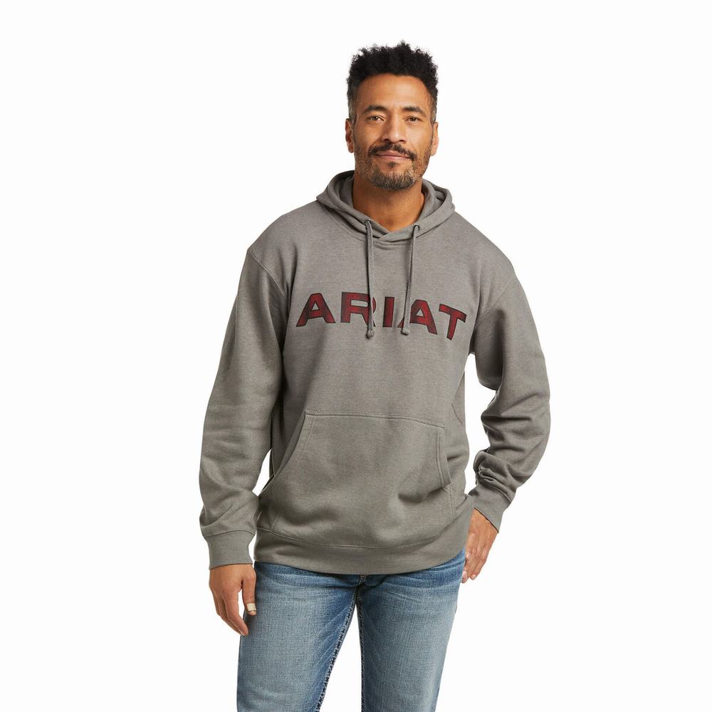 Men\'s Ariat Basic Hoodie Grey Red | RYHL-92538