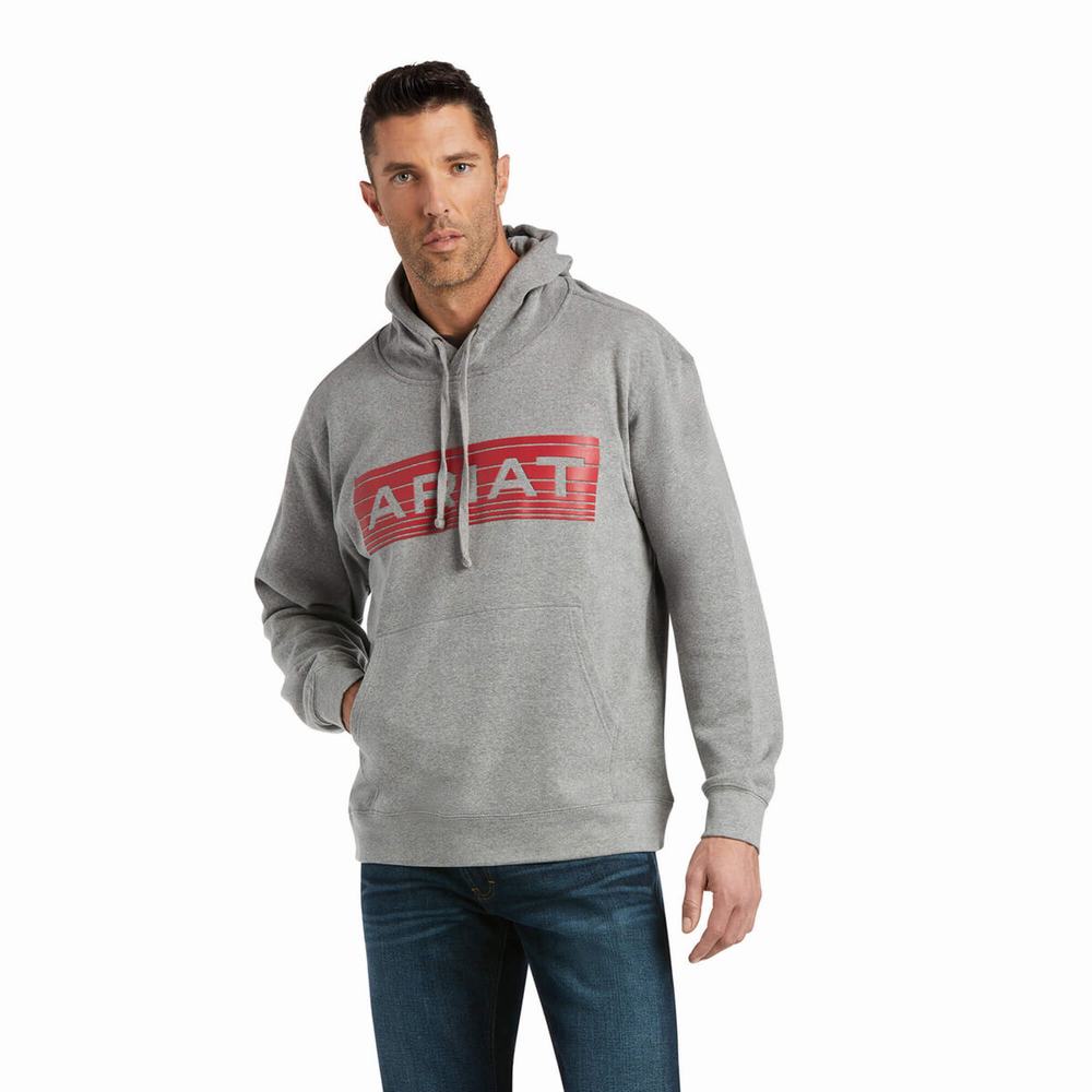 Men\'s Ariat Basic Hoodie Orange | HQJR-70129