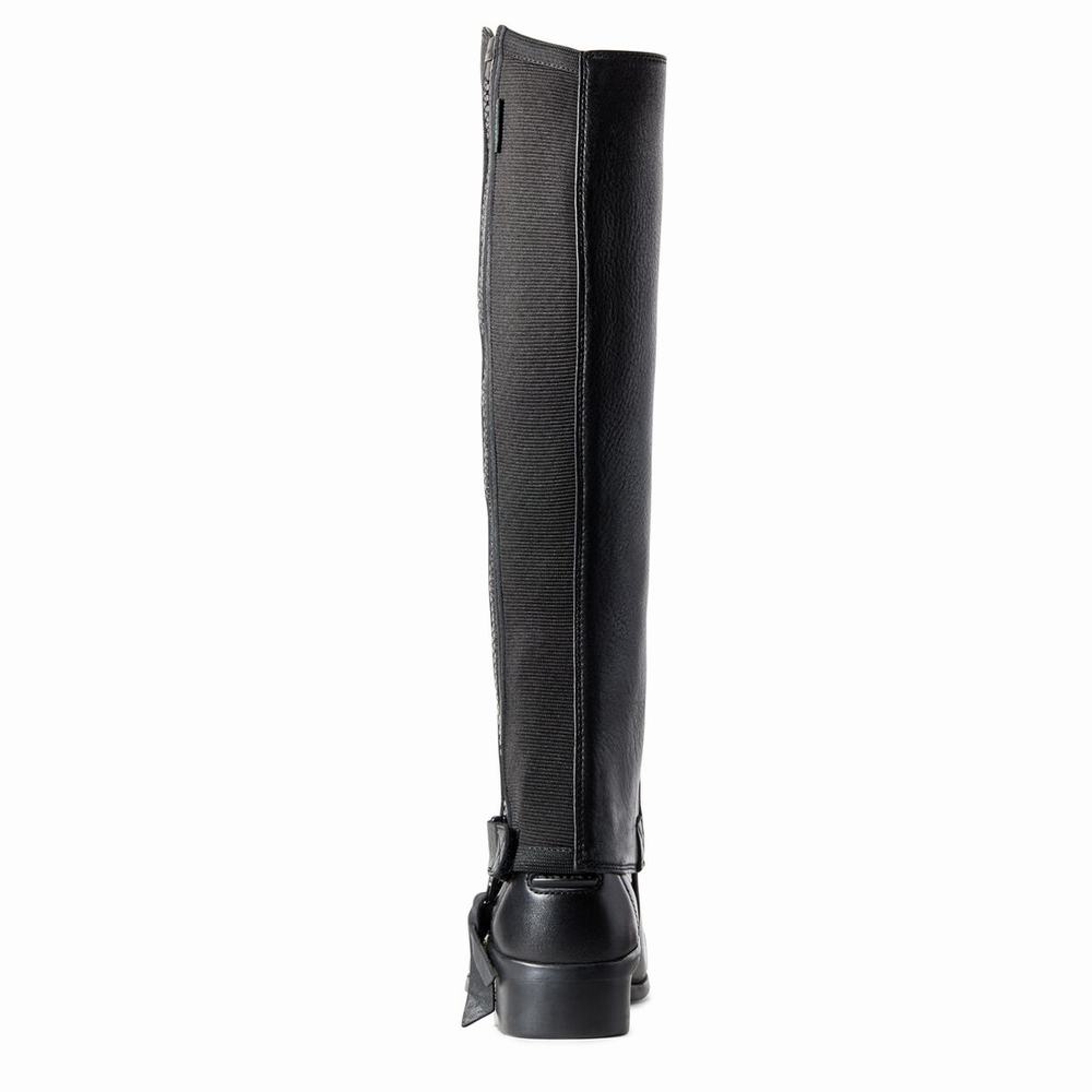 Men's Ariat Breeze Chap Half Chap Riding Boots Black | FEPV-43287