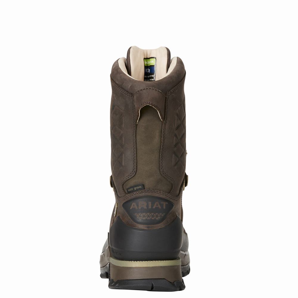 Men's Ariat Catalyst VX Defiant 10